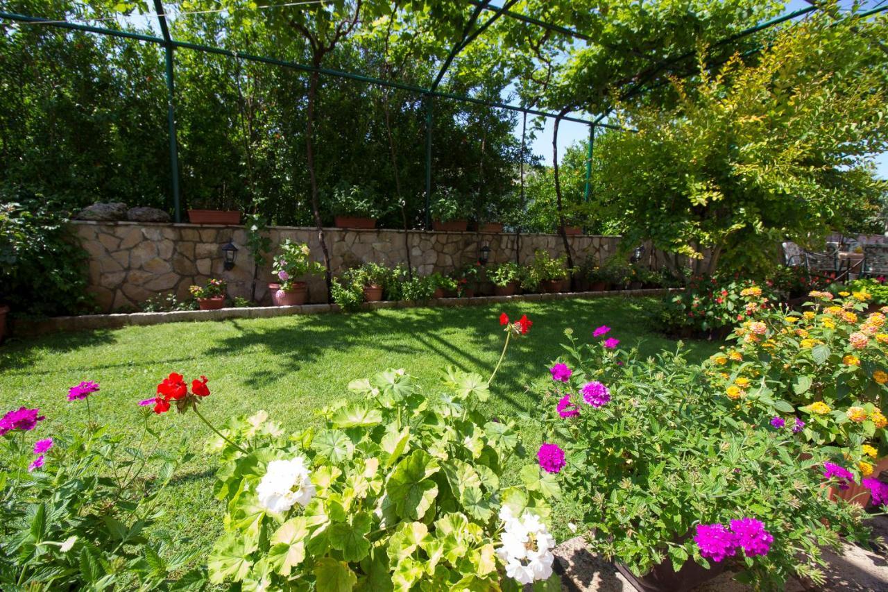 Guest House Blagaj Εξωτερικό φωτογραφία